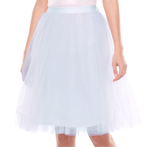 LC Lauren Conrad Dresses & Skirts - Disney's Cinderella by LC Lauren Conrad Tulle Skirt ✨